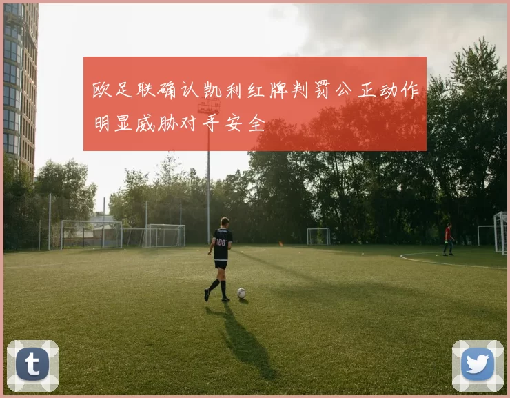 欧足联确认凯利红牌判罚公正动作明显威胁对手安全