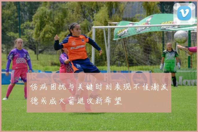伤病困扰与关键时刻表现不佳谢泼德或成火箭进攻新希望