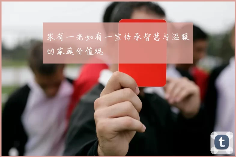 家有一老如有一宝传承智慧与温暖的家庭价值观