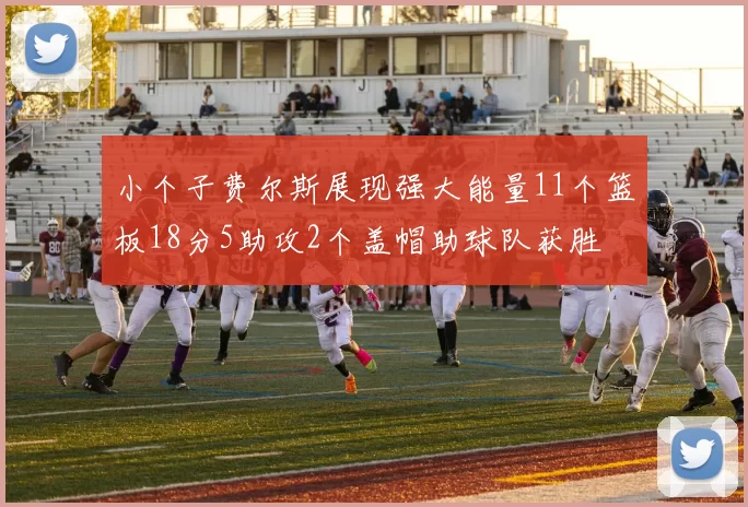 小个子费尔斯展现强大能量11个篮板18分5助攻2个盖帽助球队获胜
